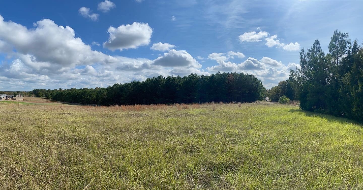 2685 Hawk Road Diana TX 75640