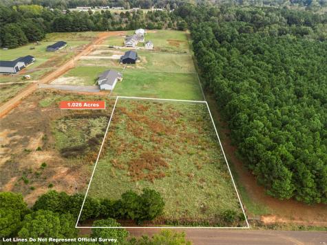 2685 Hawk Road Diana TX 75640