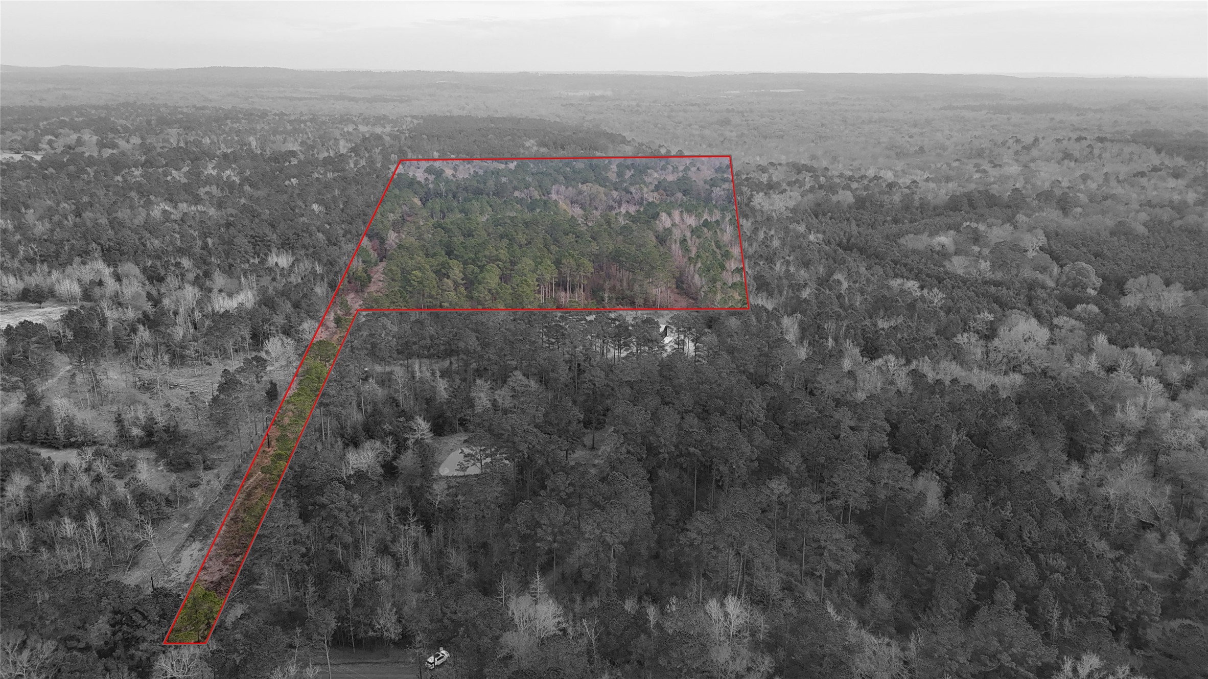 Tbd An County Road 353 Palestine TX 75801