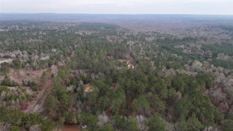 Tbd An County Road 353 Palestine TX 75801