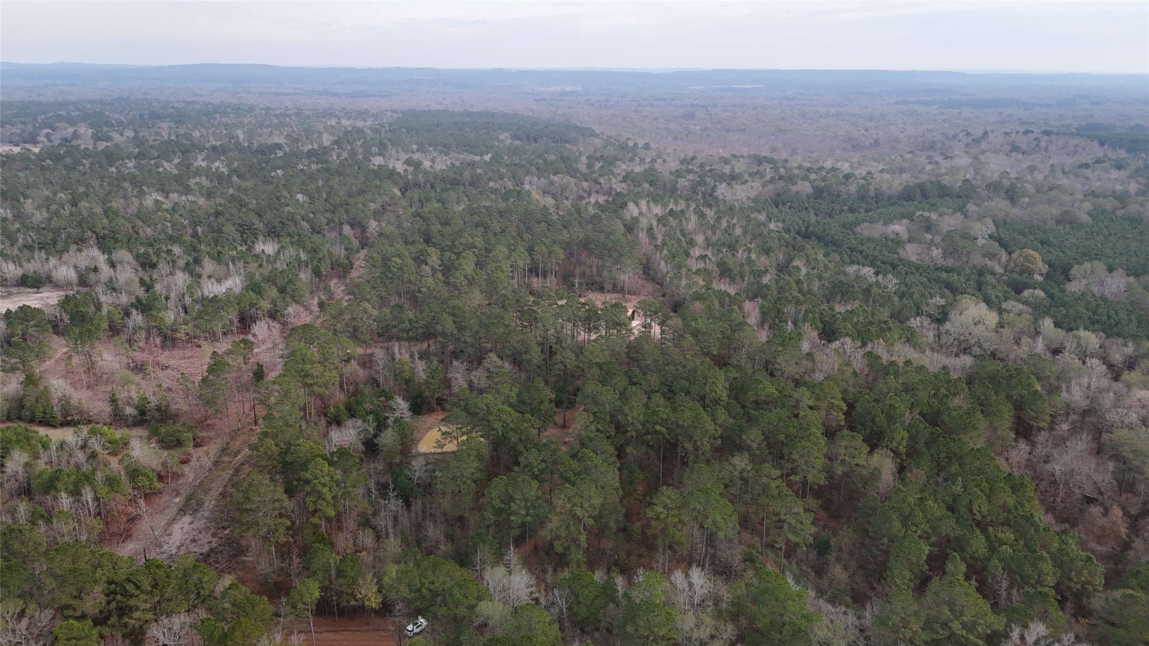 Tbd An County Road 353 Palestine TX 75801