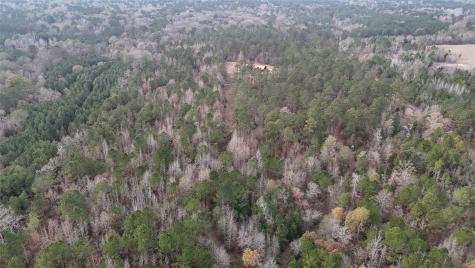 Tbd An County Road 353 Palestine TX 75801
