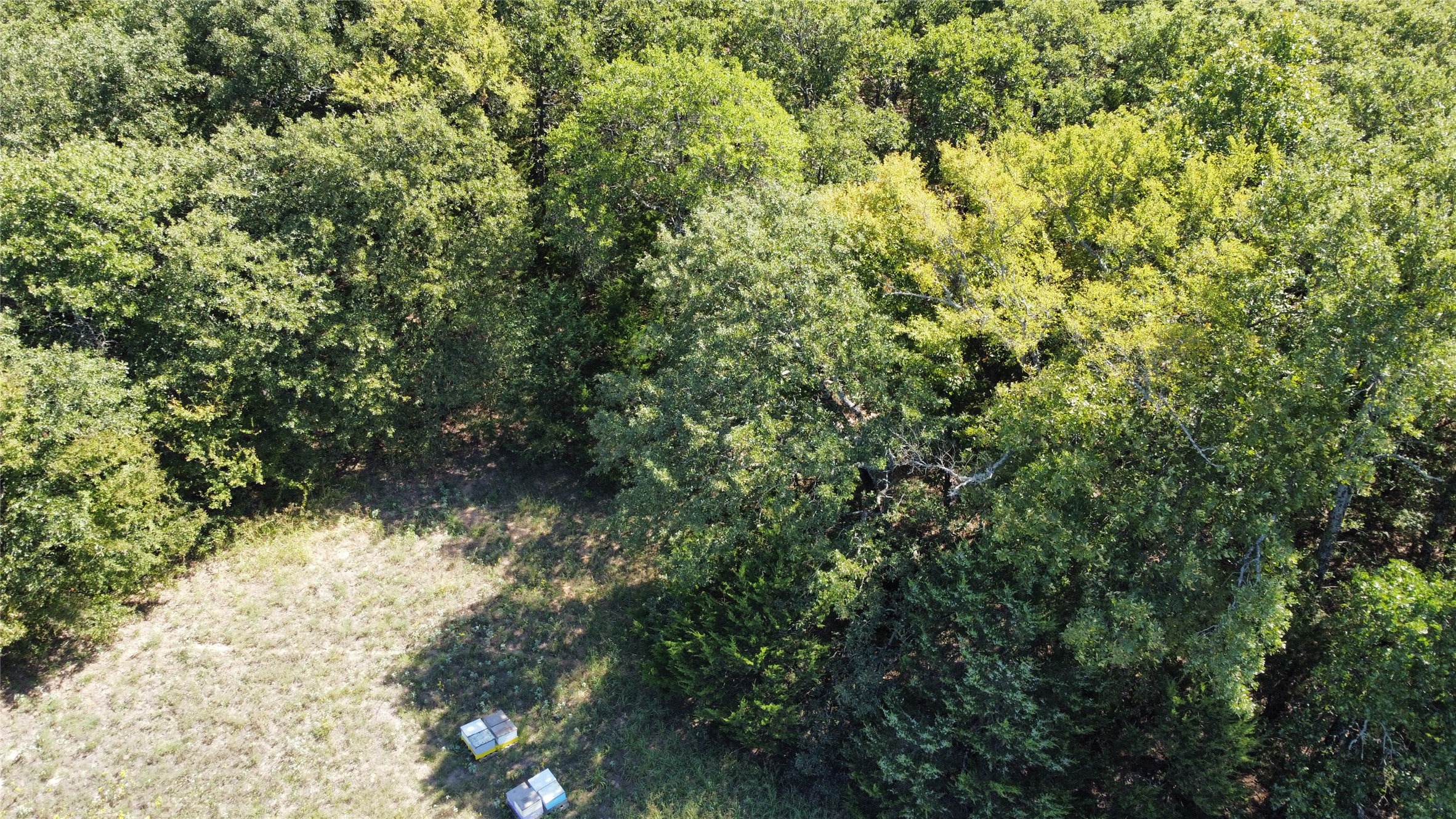 Tbd County Road 208 Gainesville TX 76240