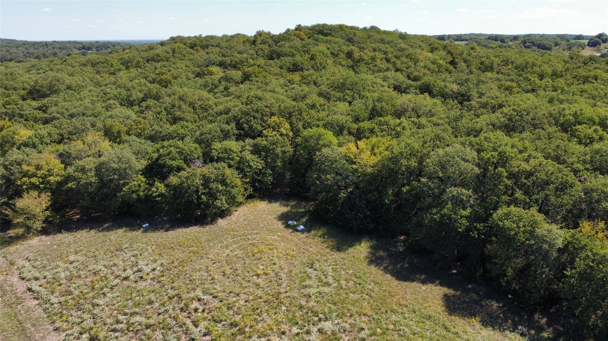 Tbd County Road 208 Gainesville TX 76240
