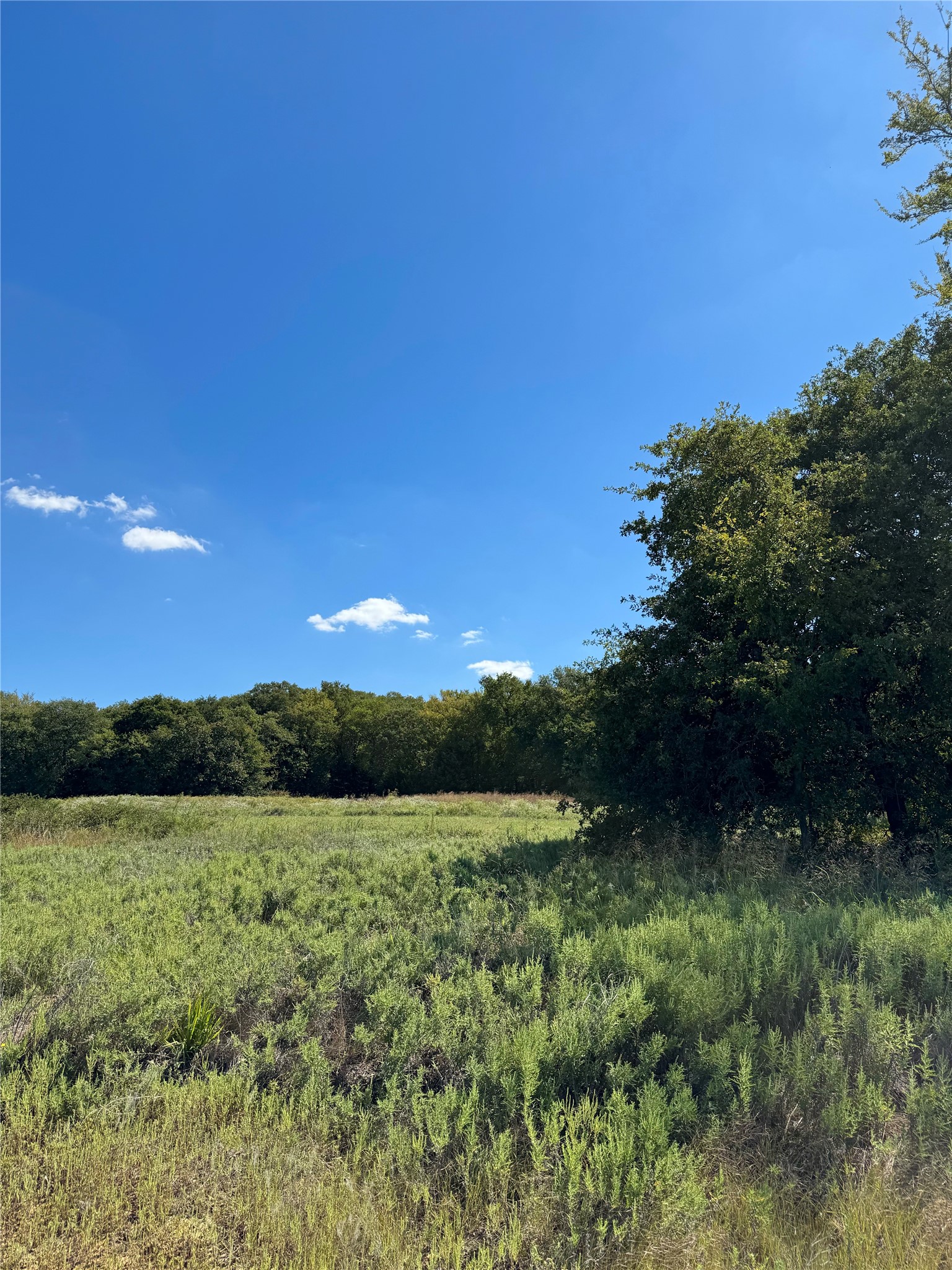 Tbd County Road 208 Gainesville TX 76240
