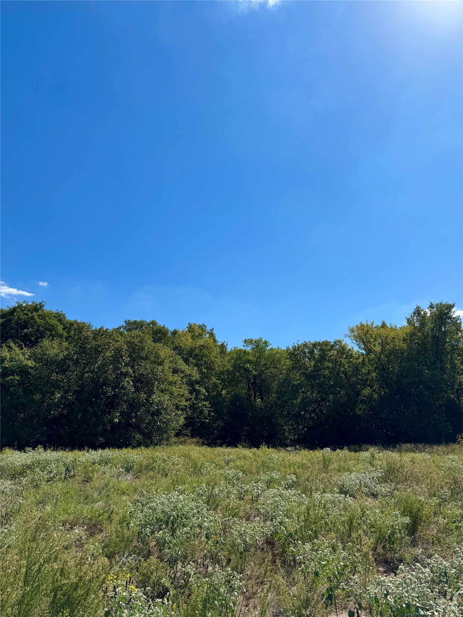 Tbd County Road 208 Gainesville TX 76240