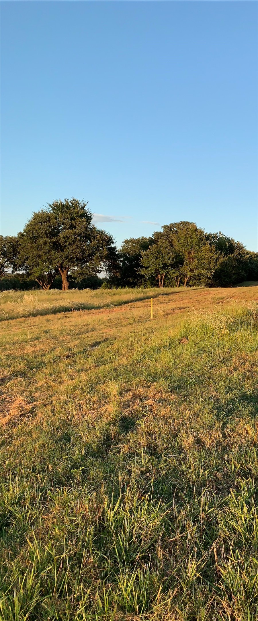 Tbd County Road 208 Gainesville TX 76240