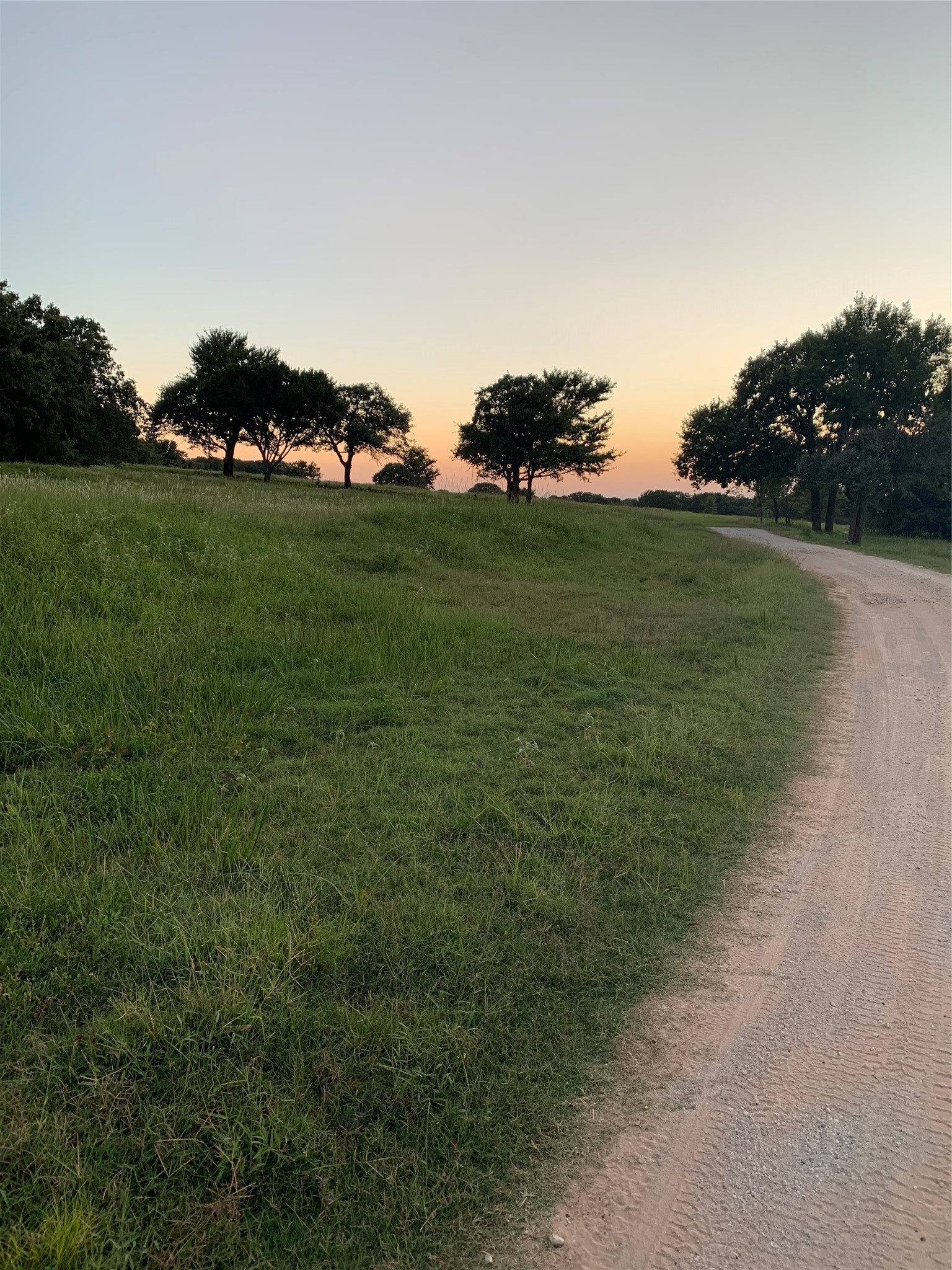Tbd County Road 208 Gainesville TX 76240