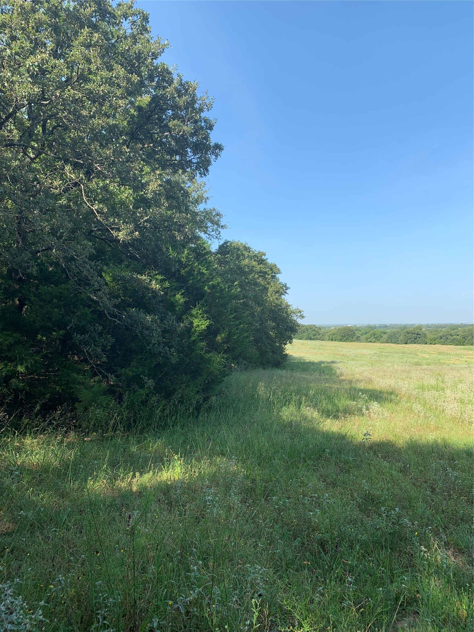 Tbd County Road 208 Gainesville TX 76240