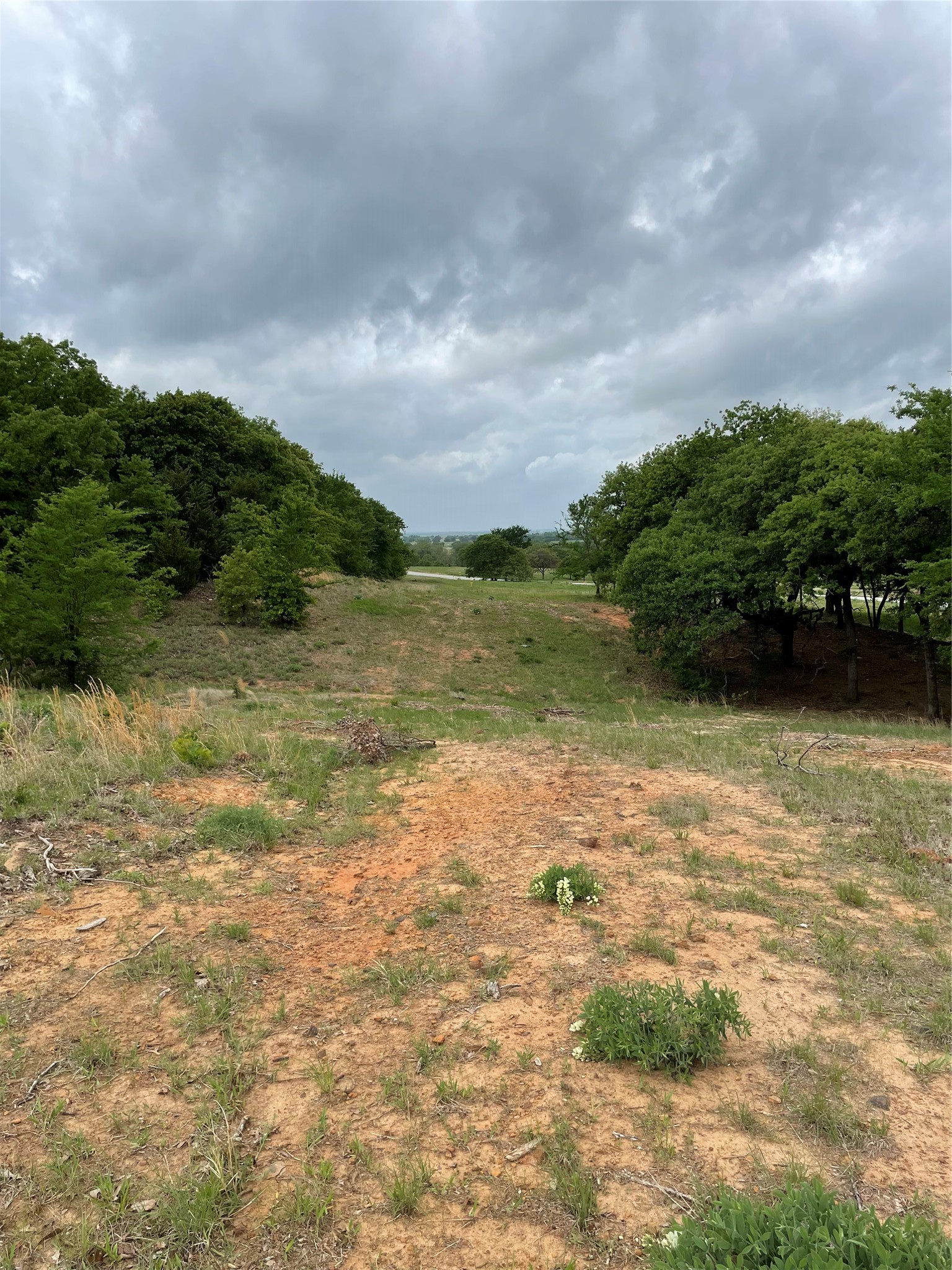 Tbd County Road 208 Gainesville TX 76240