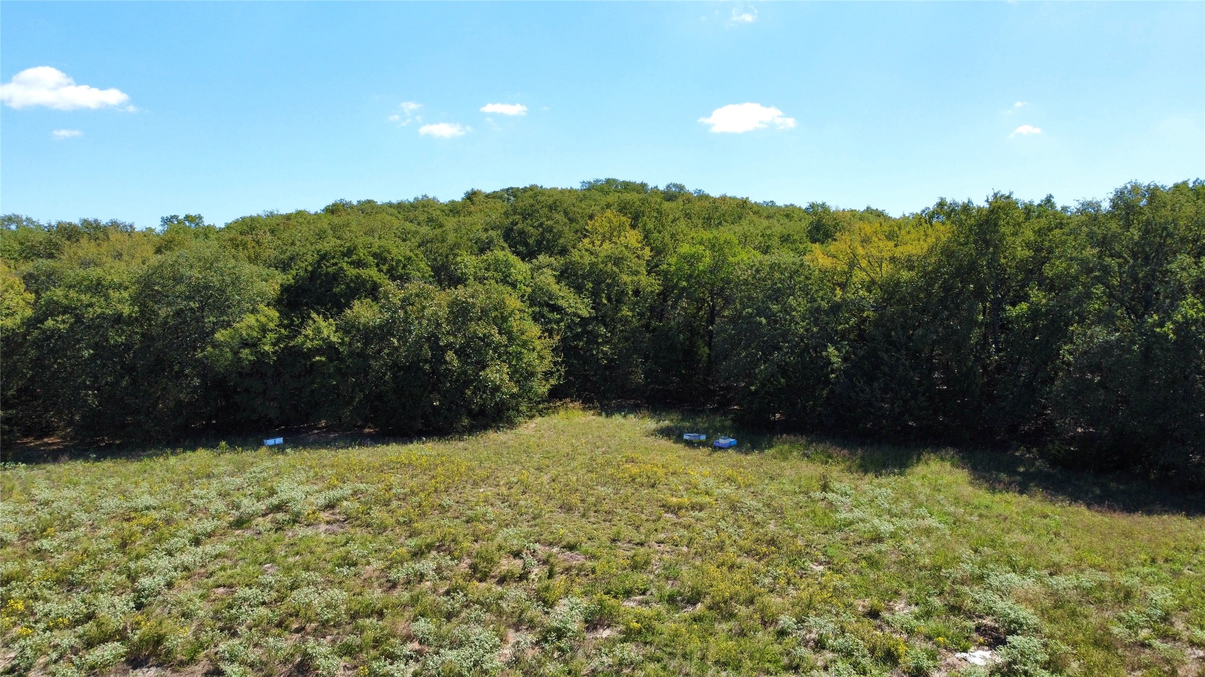 Tbd County Road 208 Gainesville TX 76240