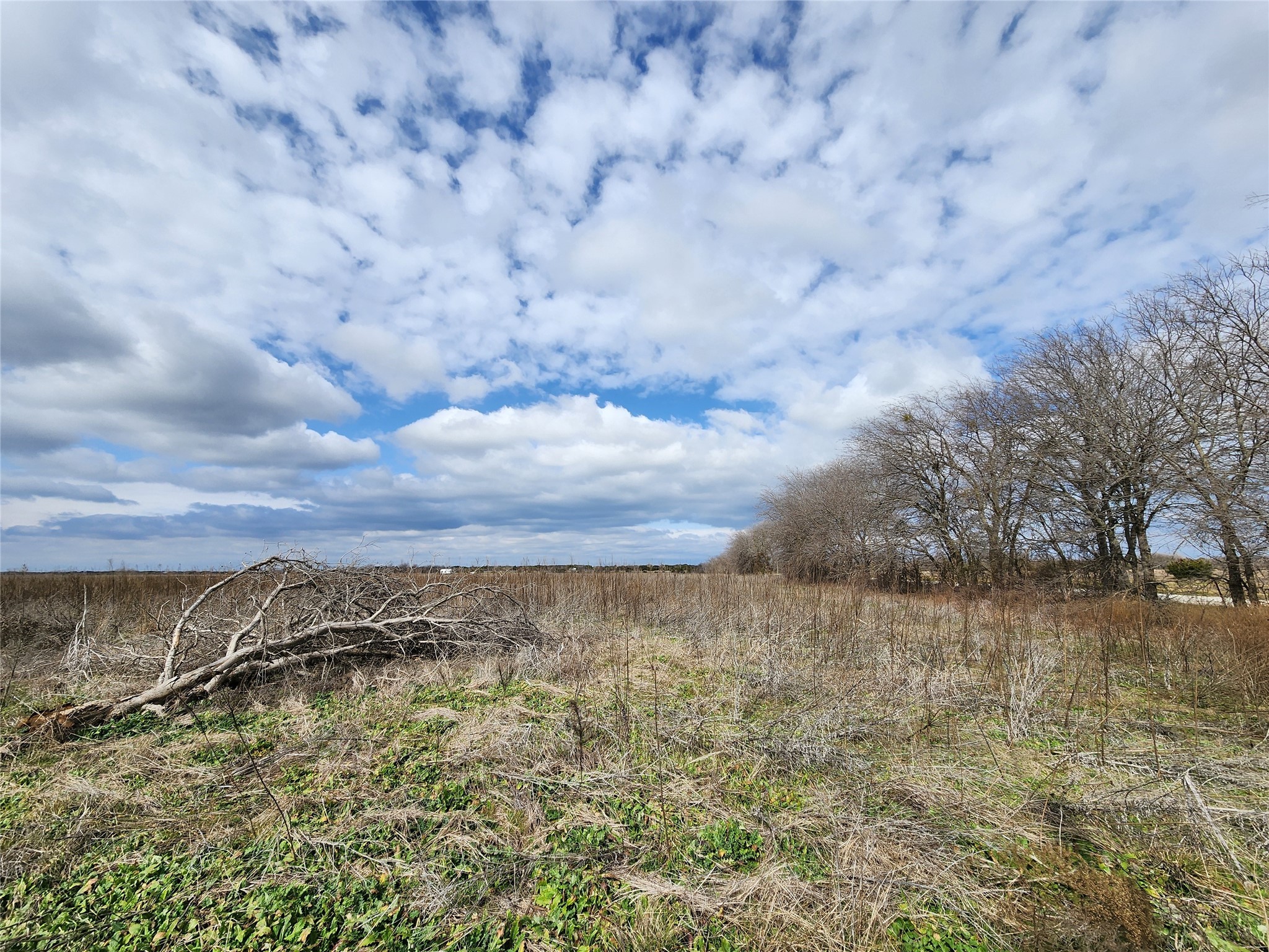 Tba Private Road 196 Blum TX 76627