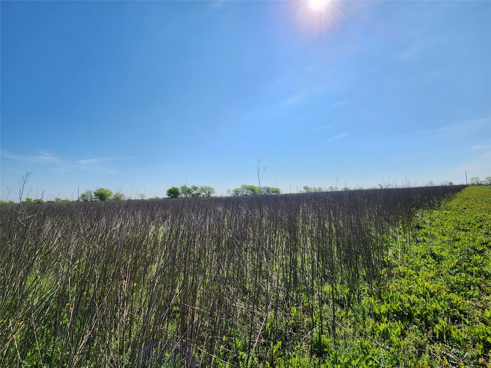 Tba Private Road 196 Blum TX 76627