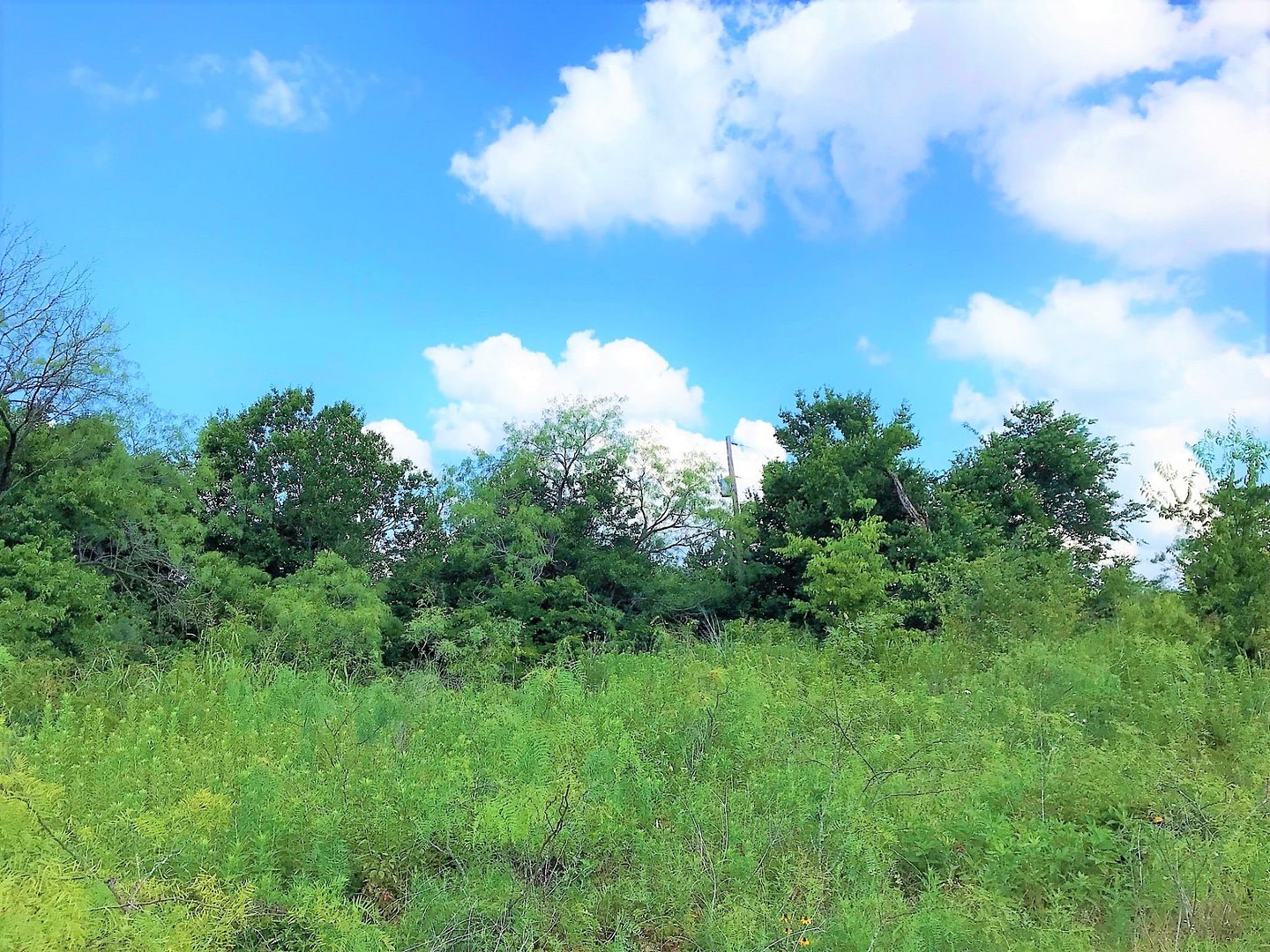 182 Hill County Road 3352 Hubbard TX 76648