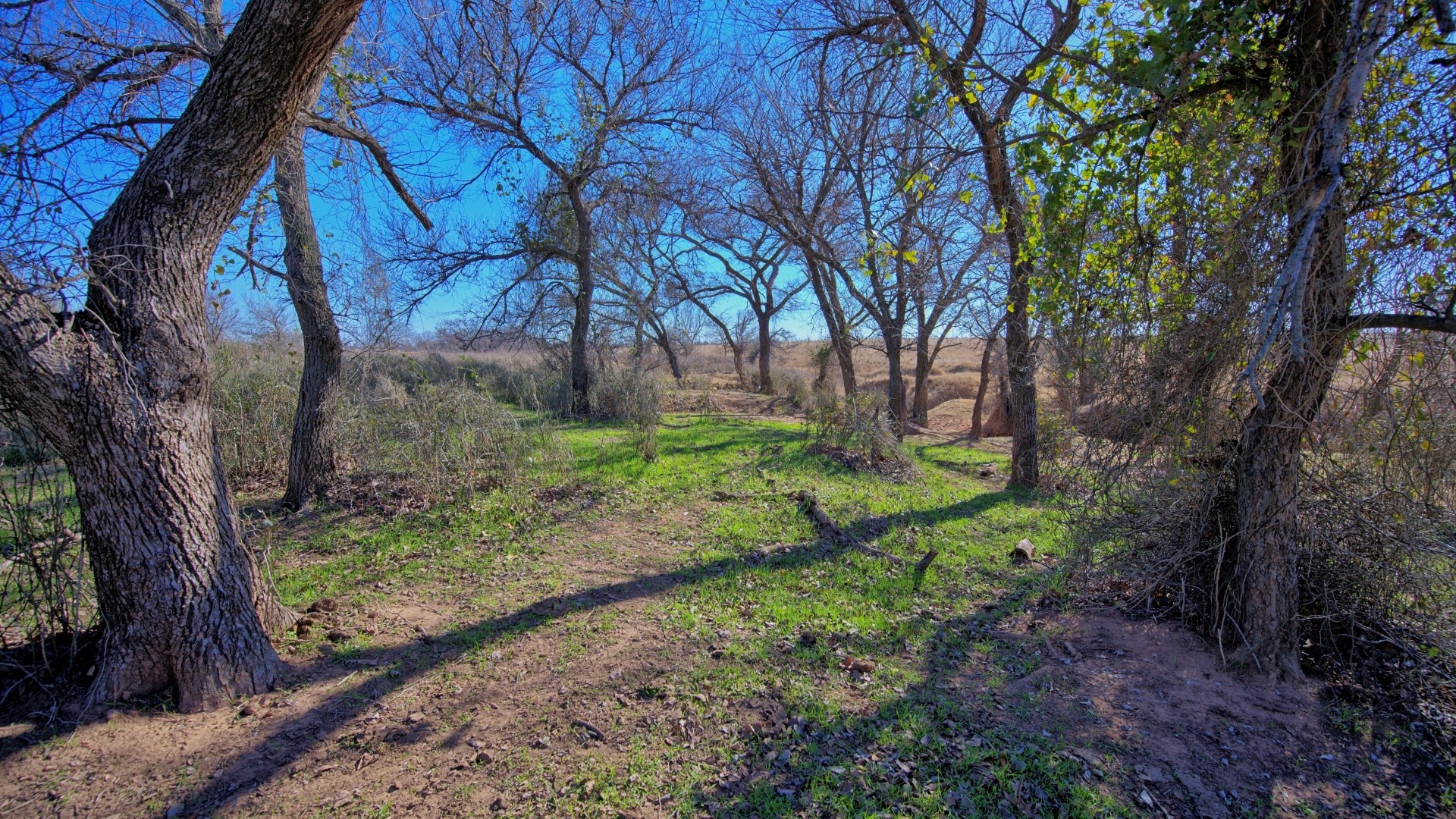 Tbd Highway 79 Wichita Falls TX 76305