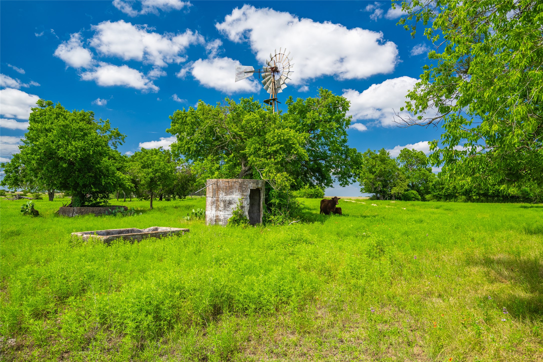 9750 Fm-243 Bertram TX 78605