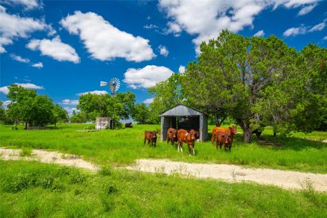 9750 Fm-243 Bertram TX 78605