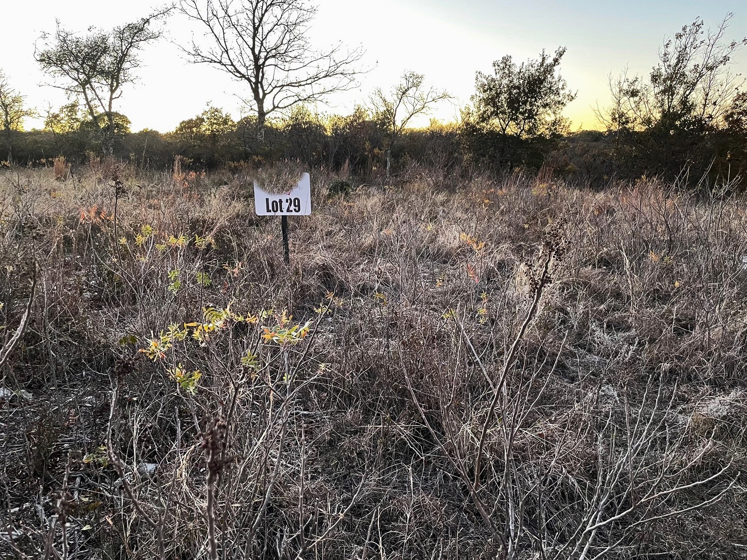 Tbd Tract 29 Indian Springs Indian Gap TX 76531