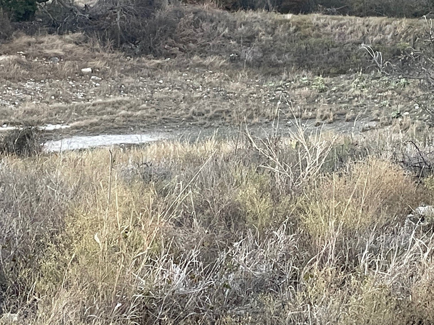 Tbd Tract 29 Indian Springs Indian Gap TX 76531
