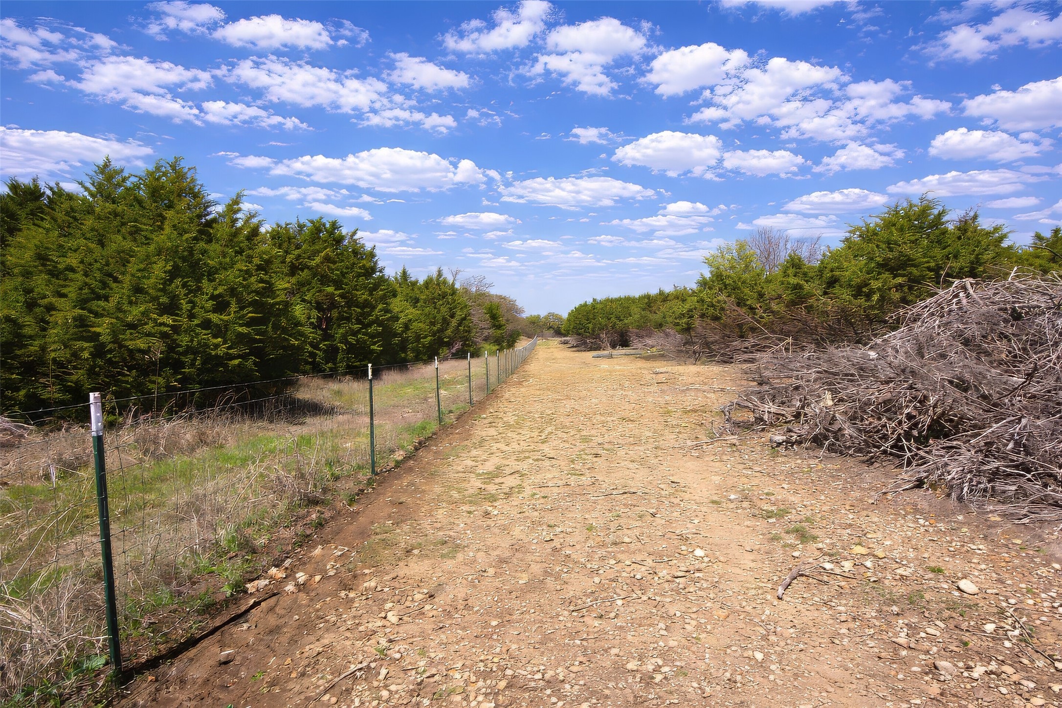 55 Crest Ridge Court Mineral Wells TX 76067
