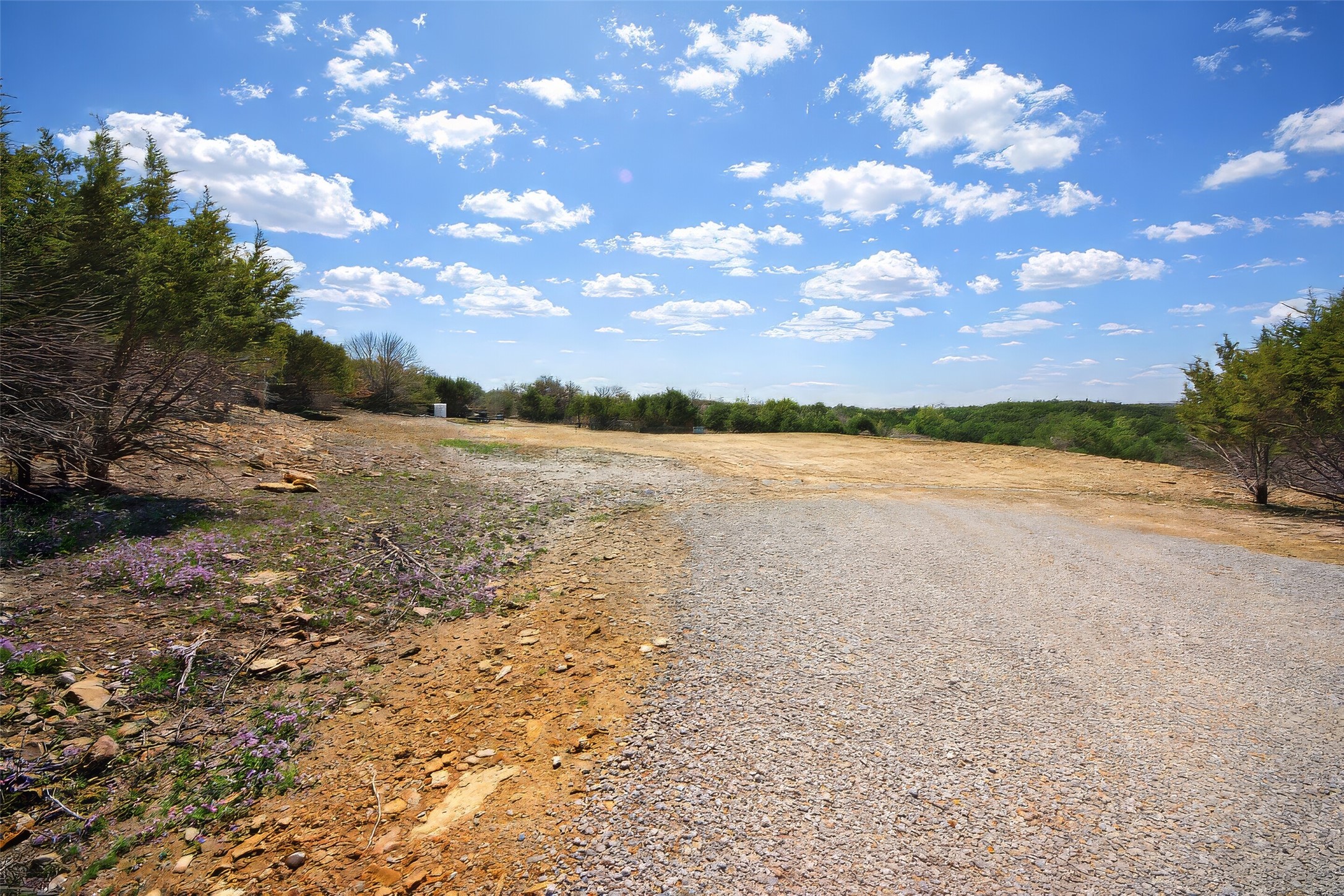 55 Crest Ridge Court Mineral Wells TX 76067