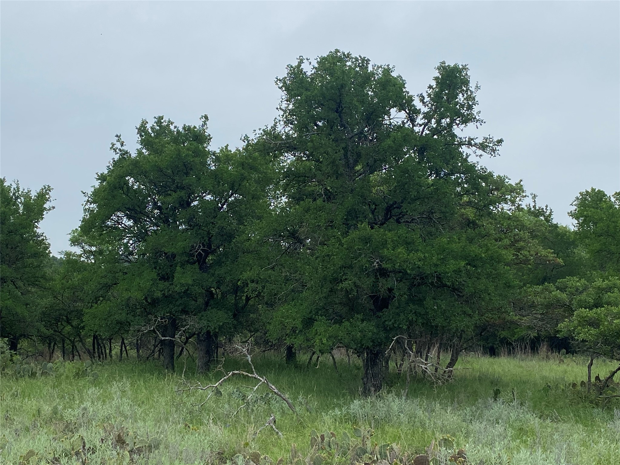 3040 Cutter Circle May TX 76857
