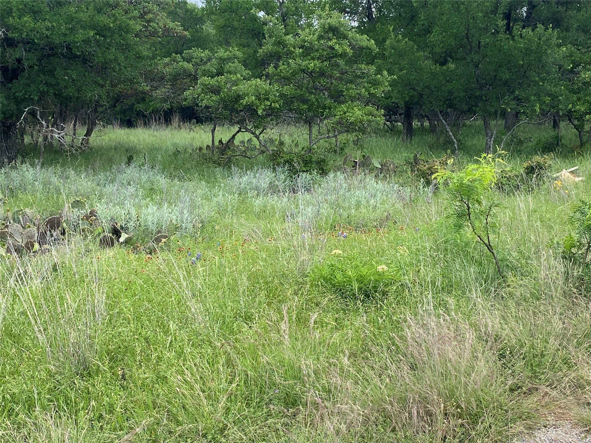 3040 Cutter Circle May TX 76857