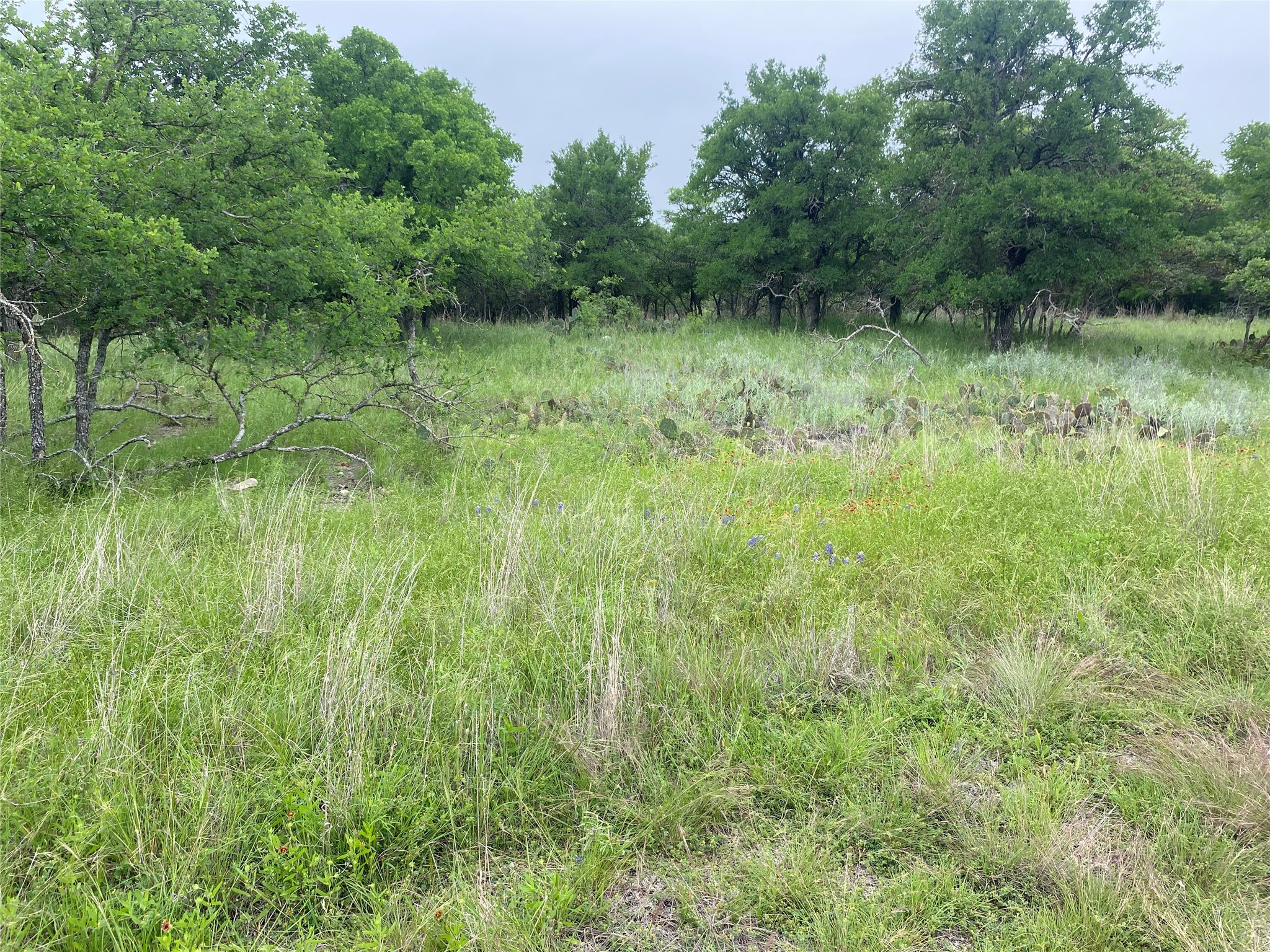 3040 Cutter Circle May TX 76857