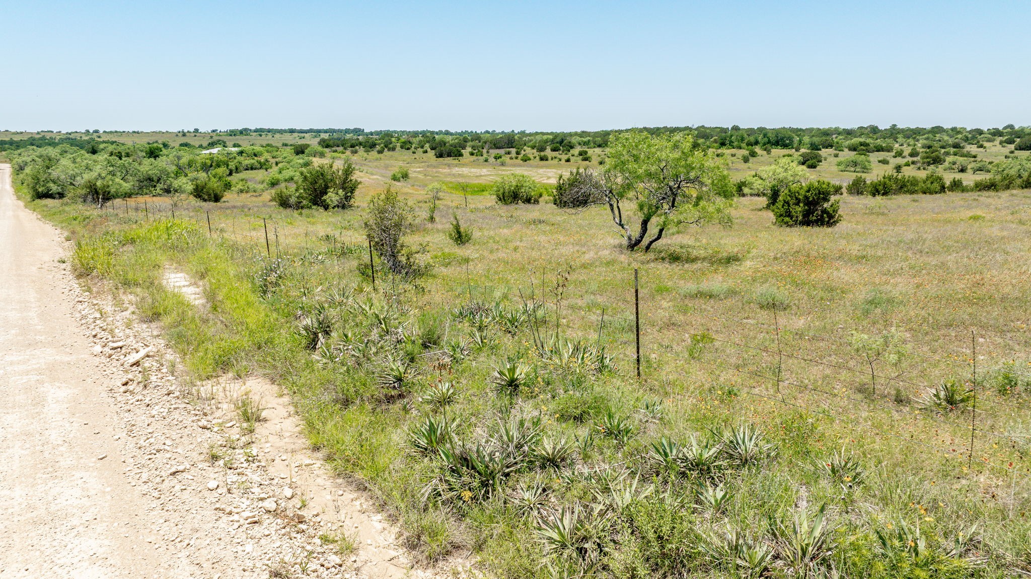 Tbd County Road 382 Carlton TX 76436