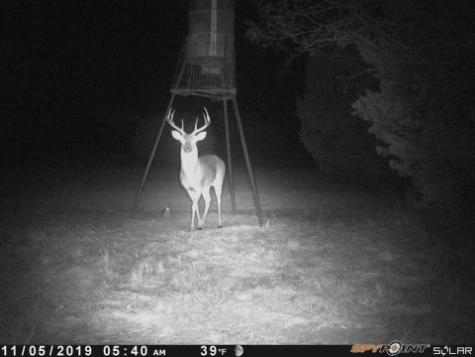TBD County Road 382 Carlton TX 76436