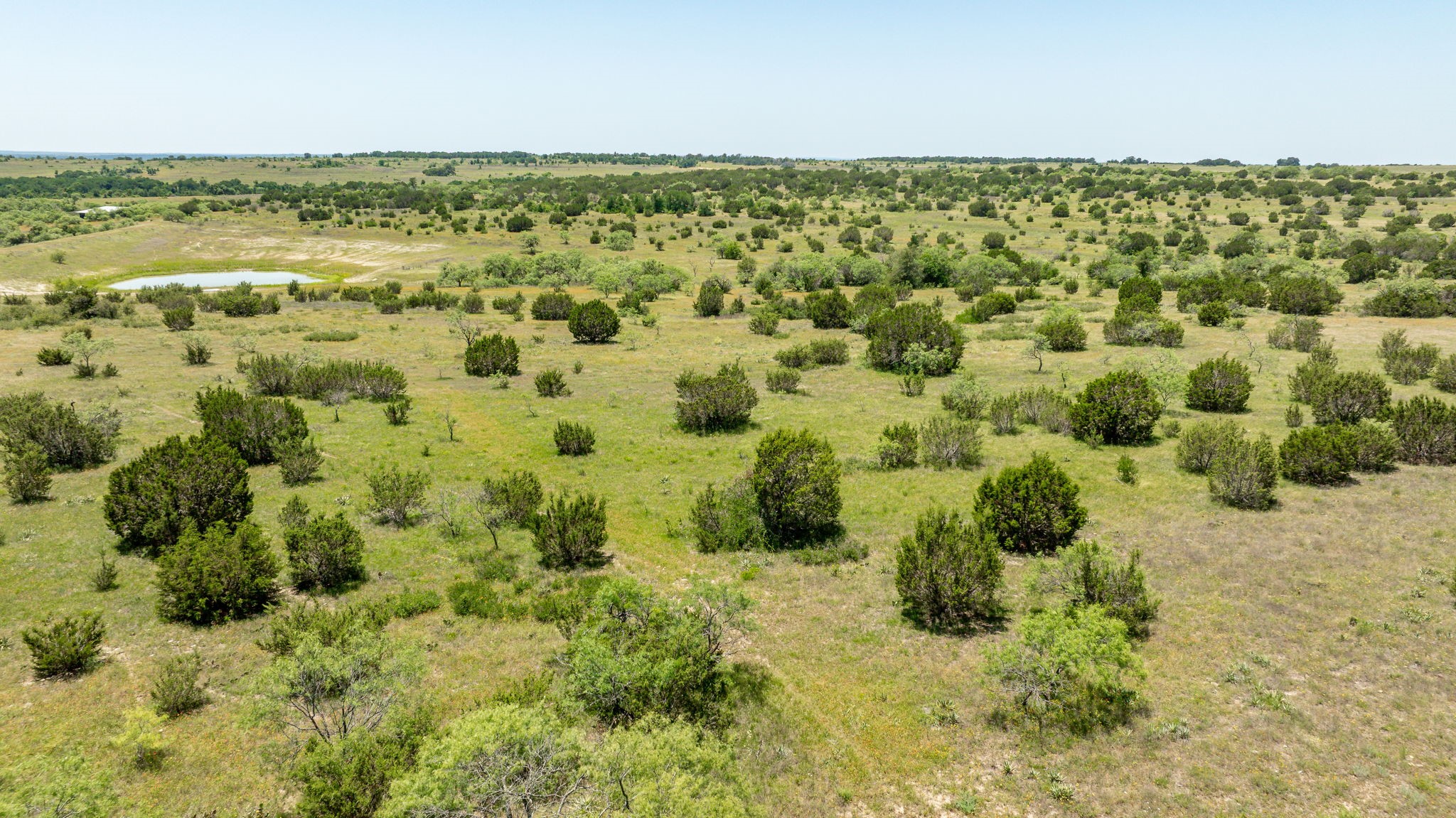 Tbd County Road 382 Carlton TX 76436