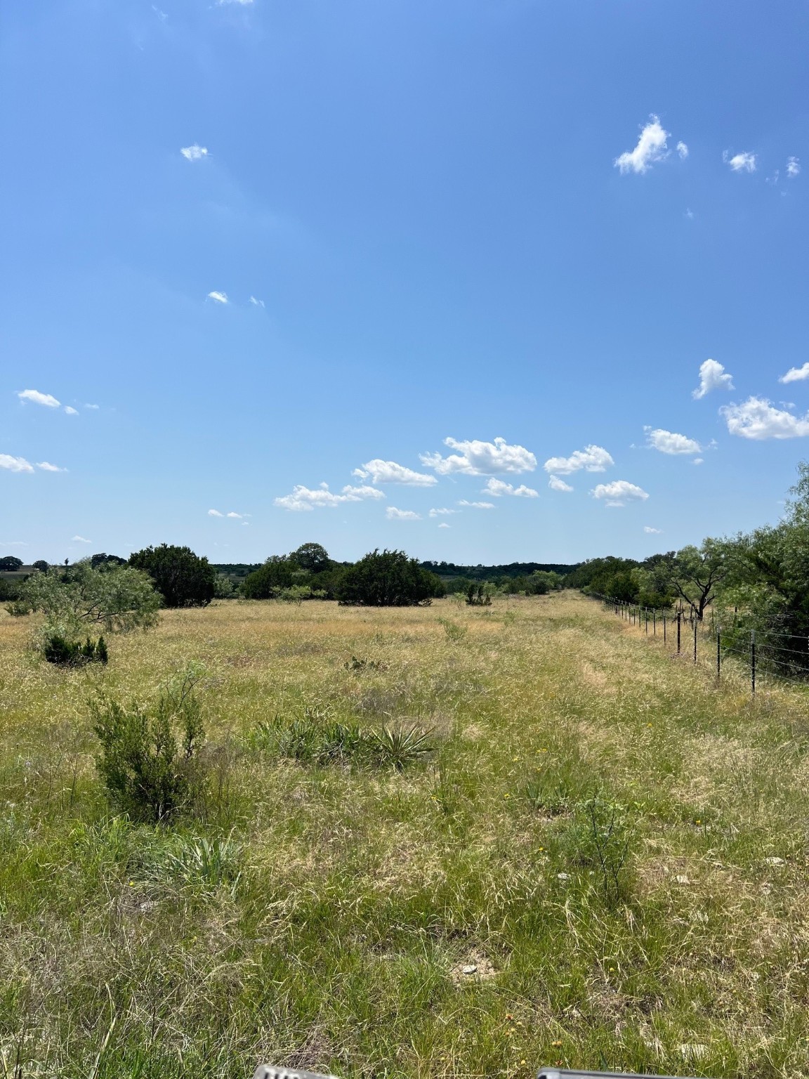 Tbd County Road 382 Carlton TX 76436