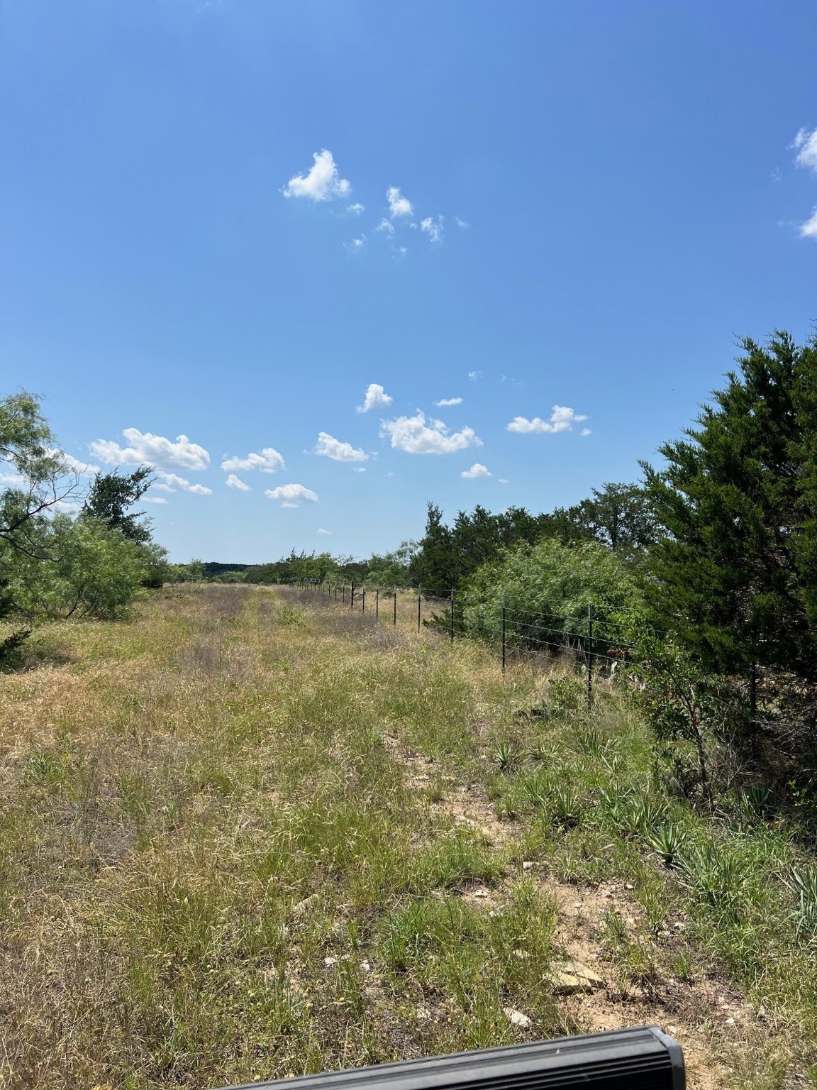 Tbd County Road 382 Carlton TX 76436