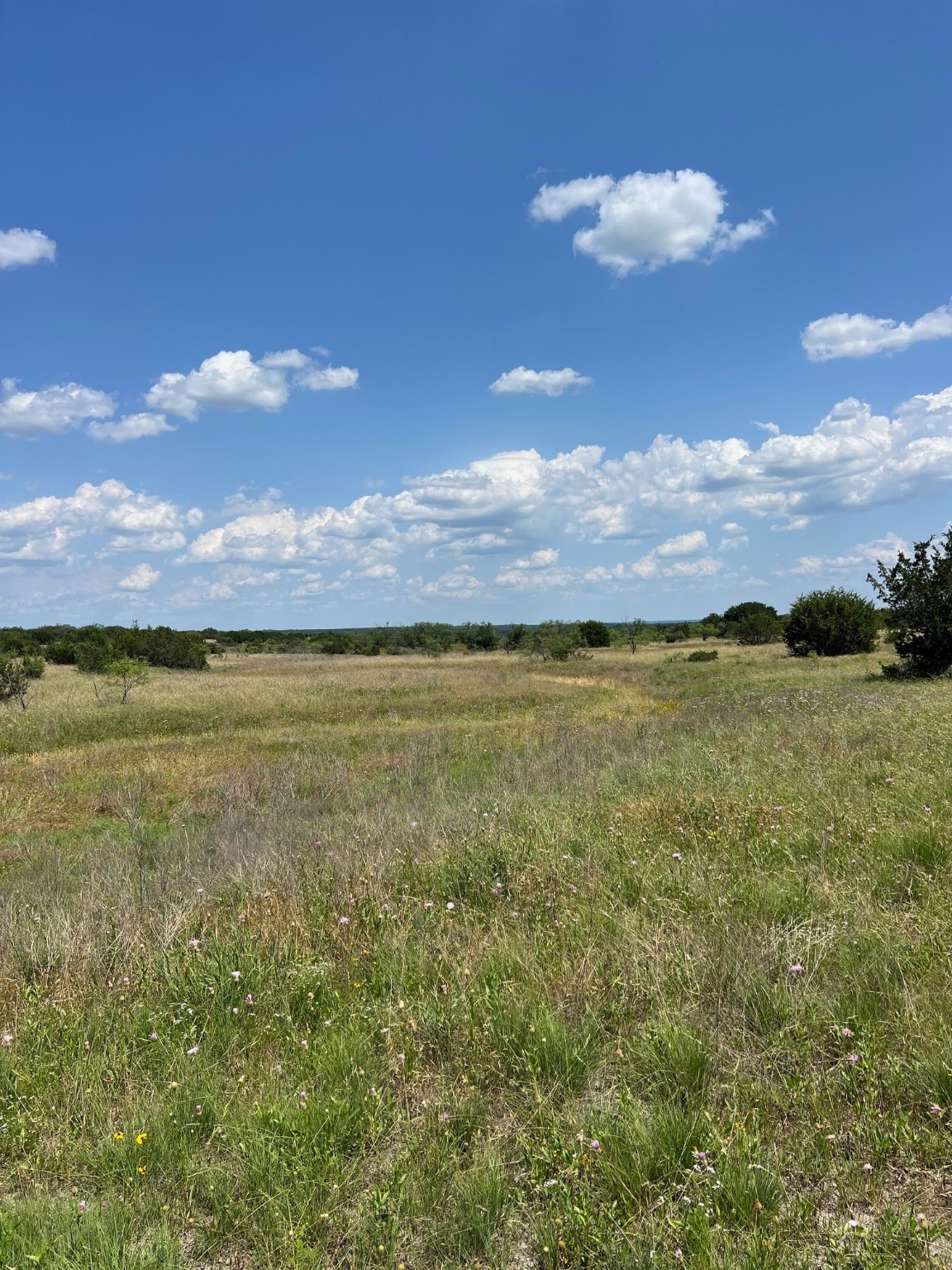 Tbd County Road 382 Carlton TX 76436