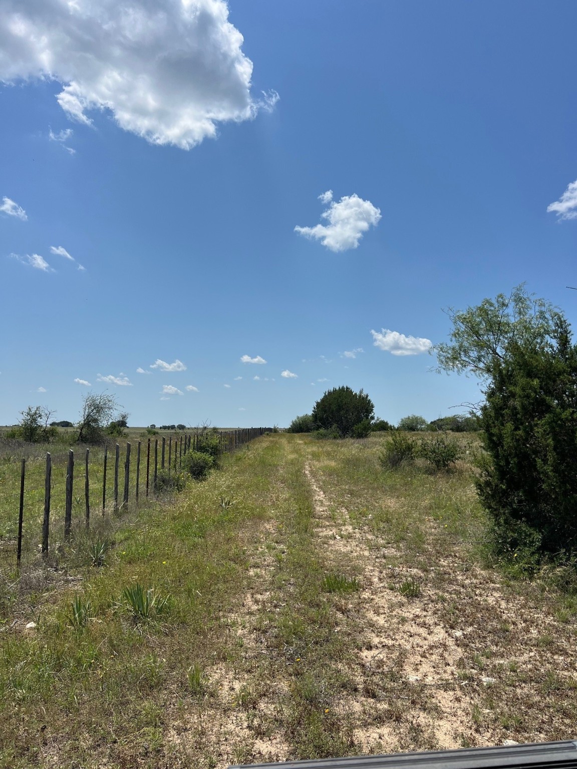 Tbd County Road 382 Carlton TX 76436