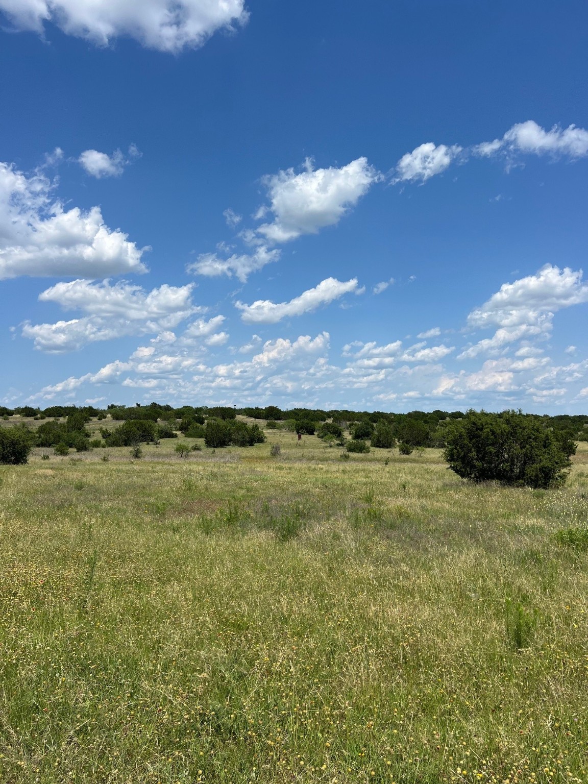 Tbd County Road 382 Carlton TX 76436