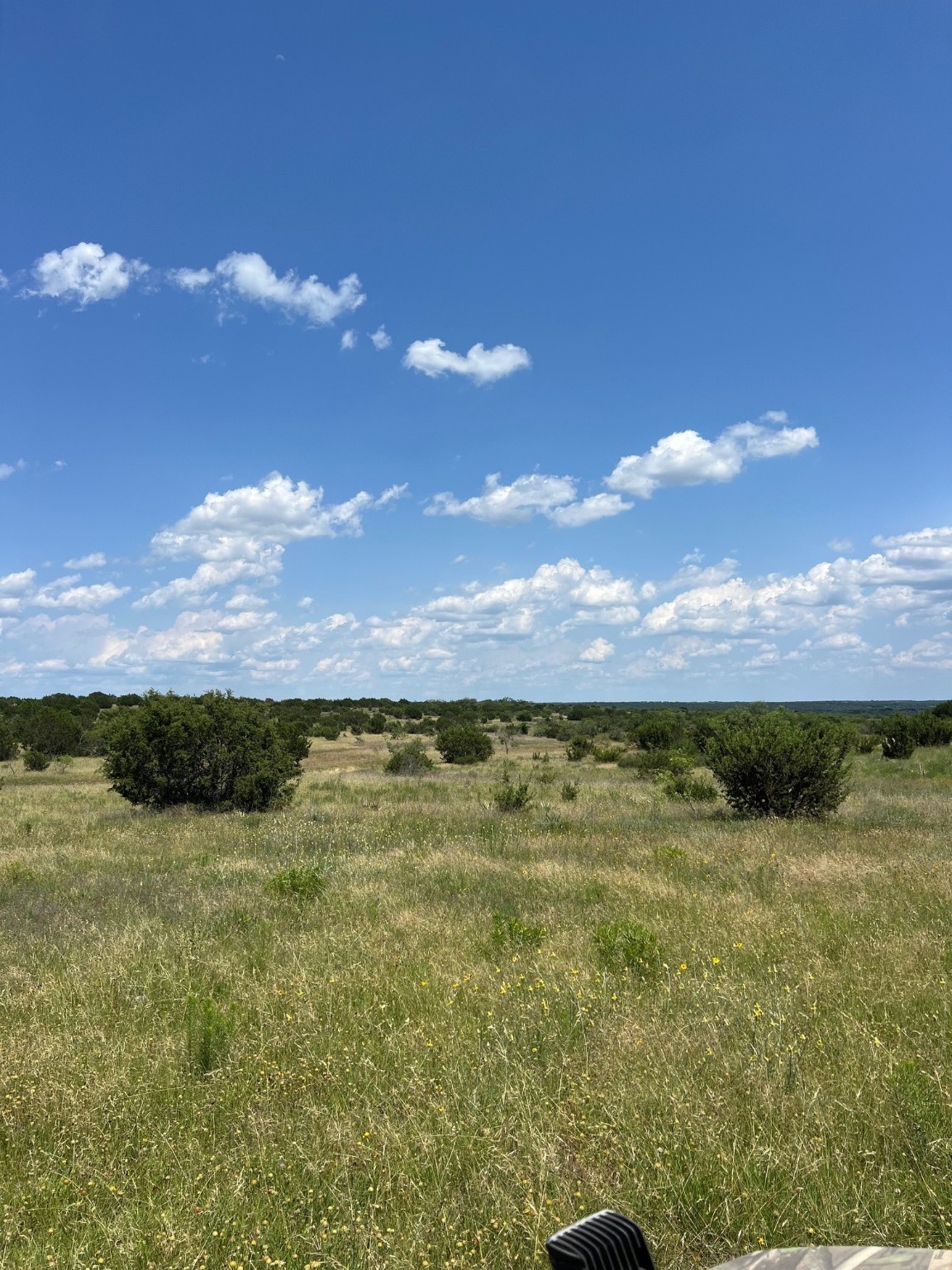 Tbd County Road 382 Carlton TX 76436