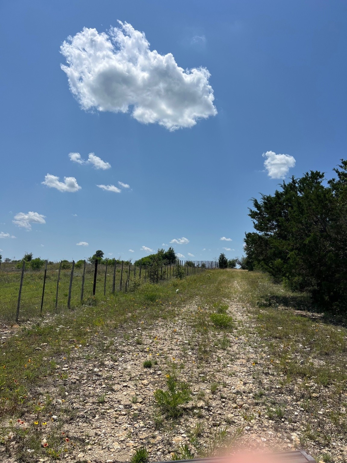 Tbd County Road 382 Carlton TX 76436