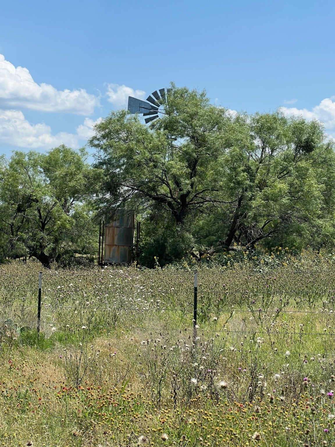 Tbd County Road 382 Carlton TX 76436