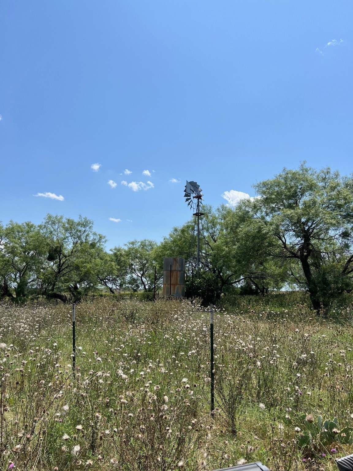 Tbd County Road 382 Carlton TX 76436