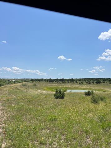 TBD County Road 382 Carlton TX 76436