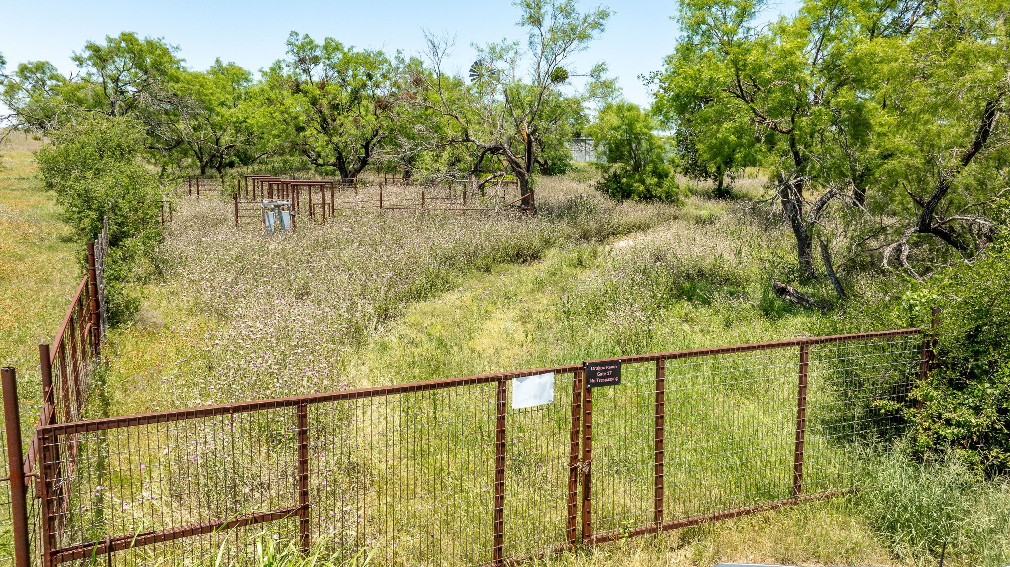 Tbd County Road 382 Carlton TX 76436