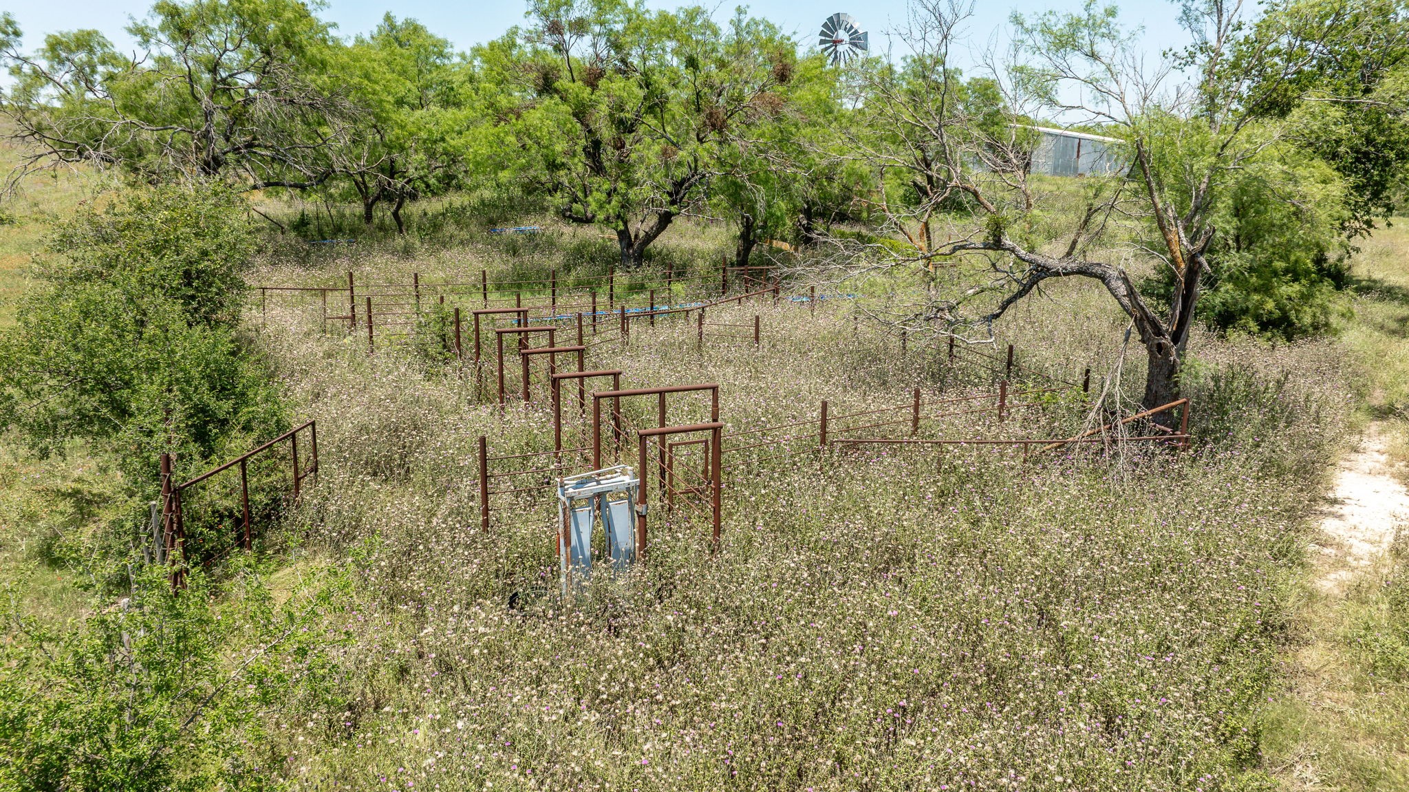 Tbd County Road 382 Carlton TX 76436