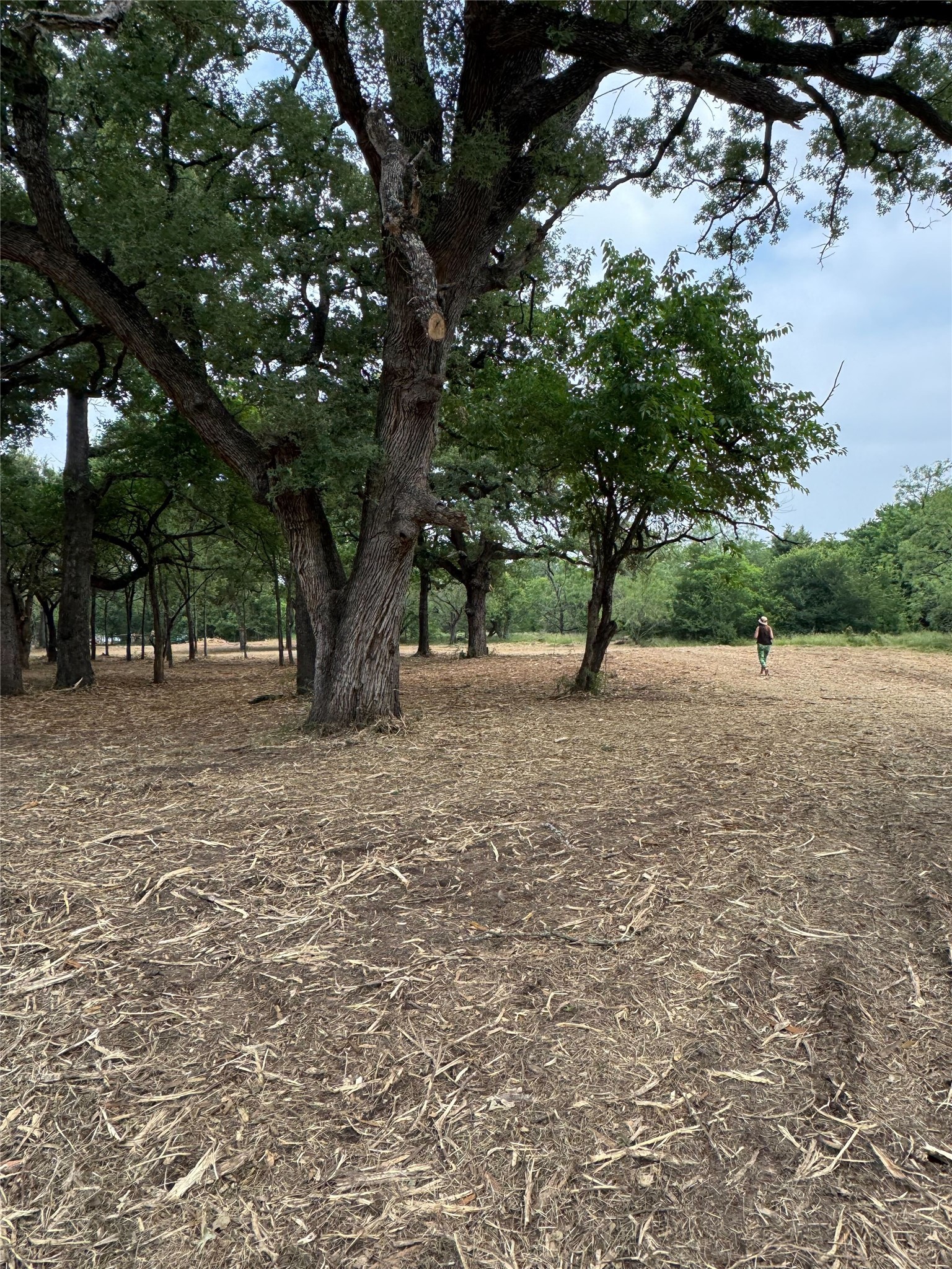 Lot 92 SE Cr 1190 Richland TX 76681