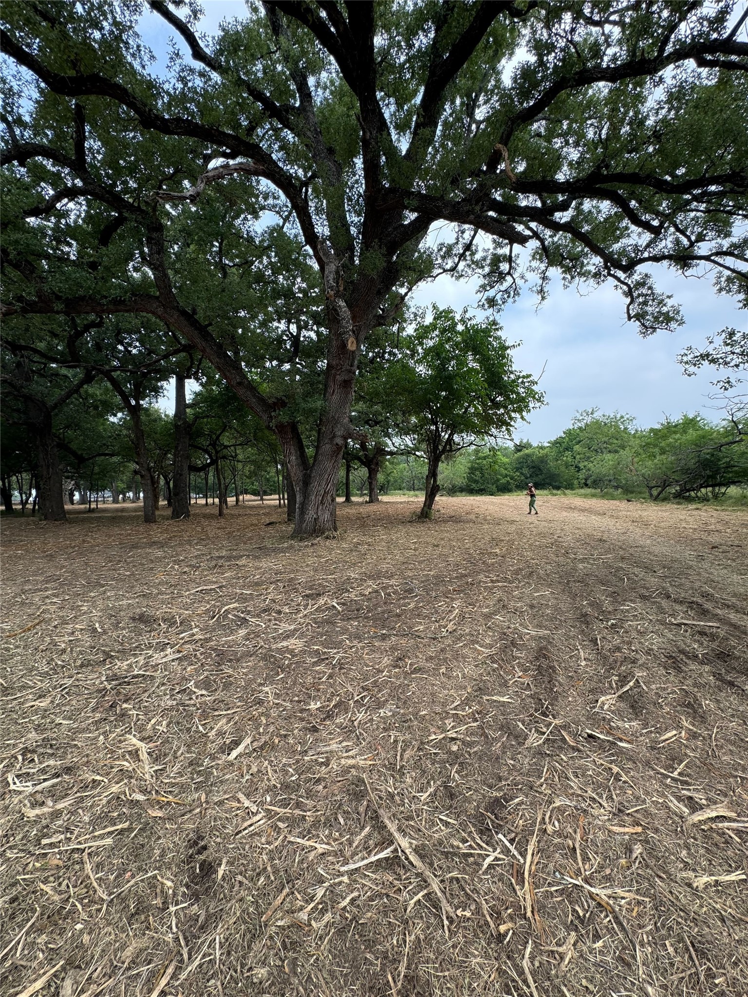 Lot 92 SE Cr 1190 Richland TX 76681
