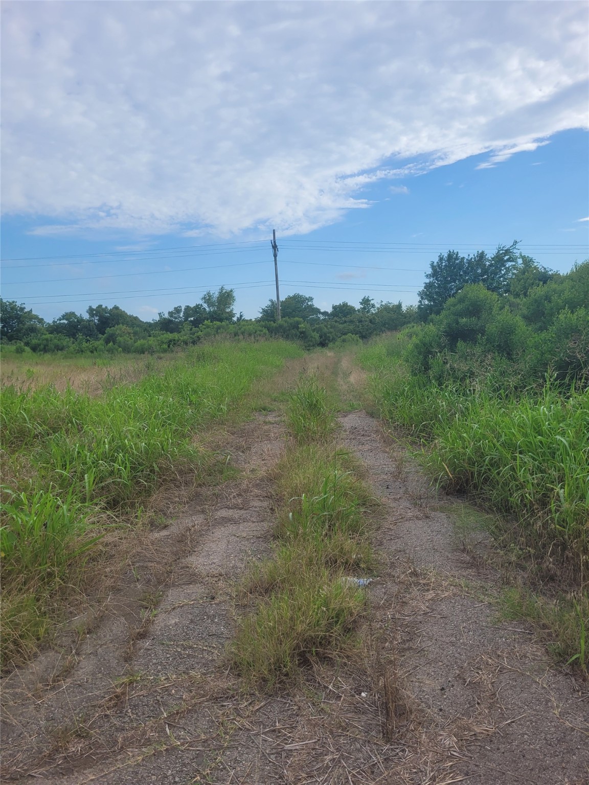 Tbd S U. S. Highway 271 Highway Deport TX 75435