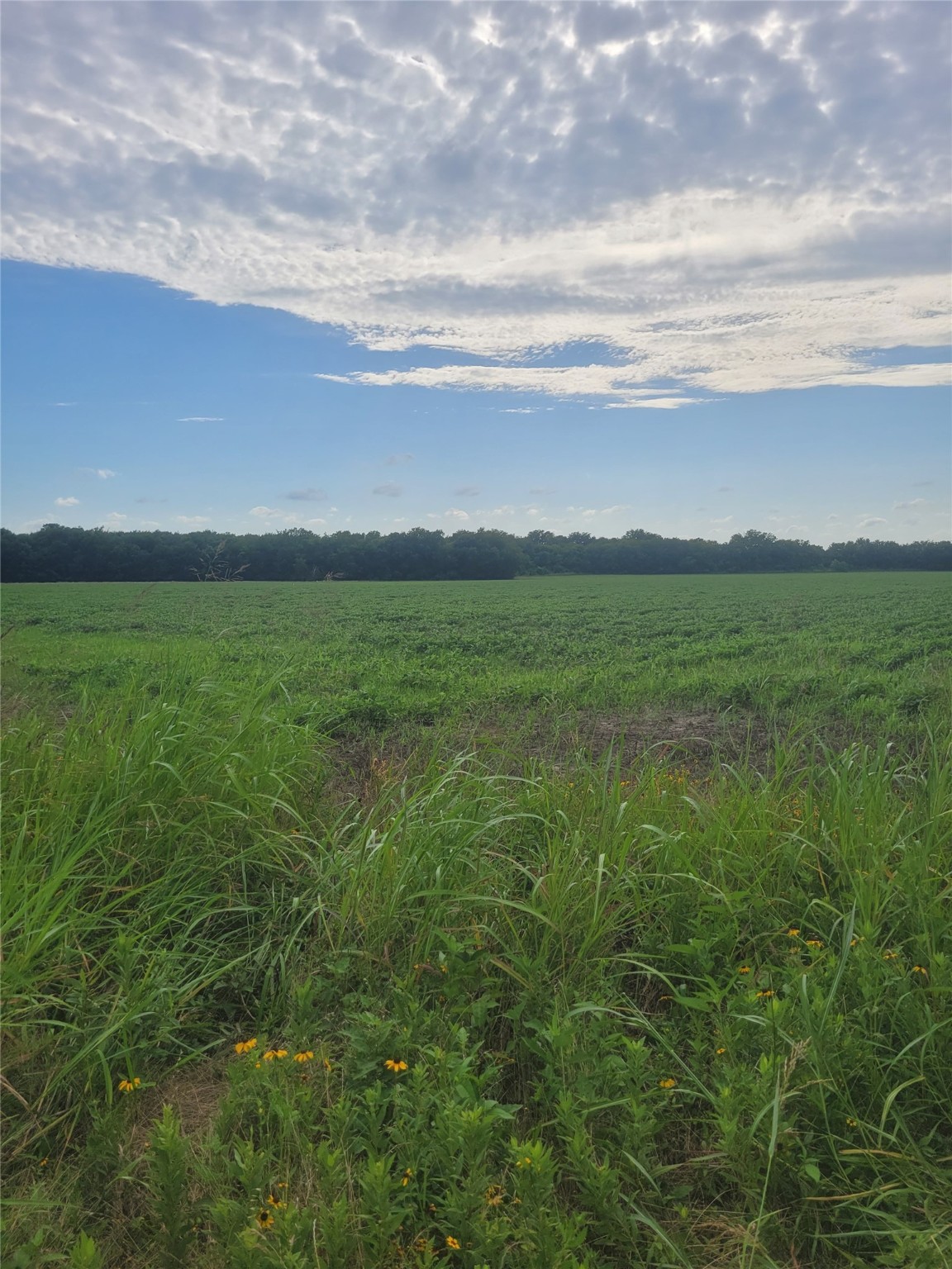 Tbd S U. S. Highway 271 Highway Deport TX 75435