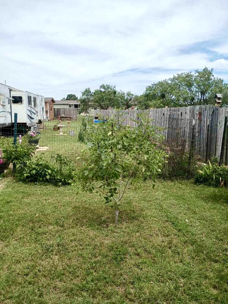 3997 Deer Run Drive Abilene TX 79601