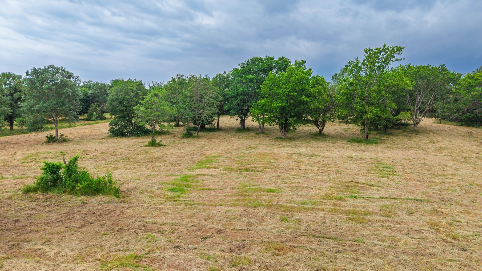 355 Farm Road 3132 Klondike TX 75448