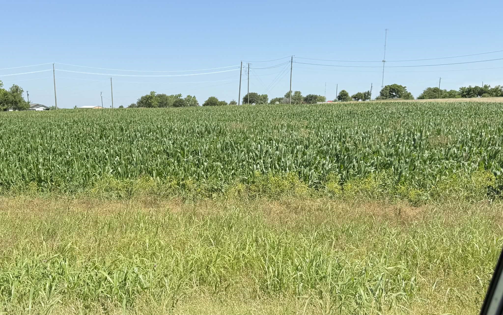 Tbd Fm 438 Temple TX 76501